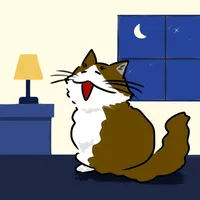 老猫が夜中に鳴き続ける時の対策とは？