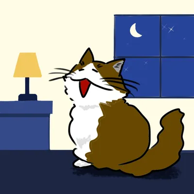 老猫が夜中に鳴き続ける時の対策とは？