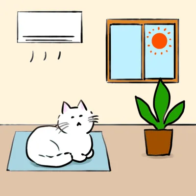 猫が猛暑を快適に過ごすための部屋の工夫とは？