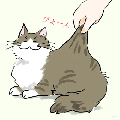 猫の体の表面がびよんと伸びる理由とは？