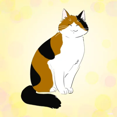 三毛猫のオスが縁起が良い理由は？