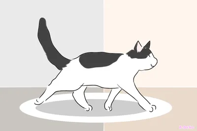 猫がまたぐ意味や迷信って本当？